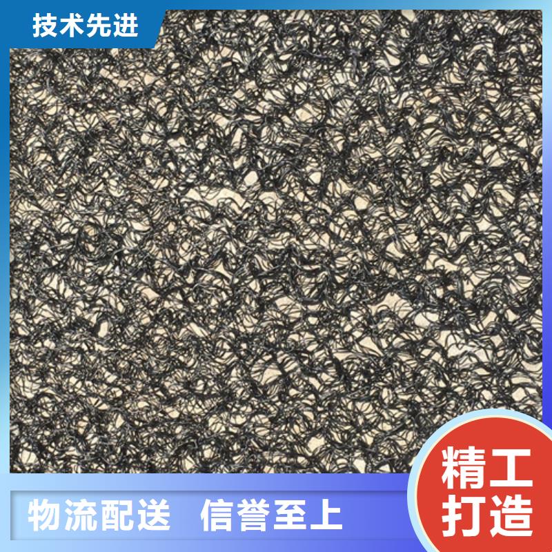 三維植被網(wǎng)土工網(wǎng)批發(fā)價(jià)格