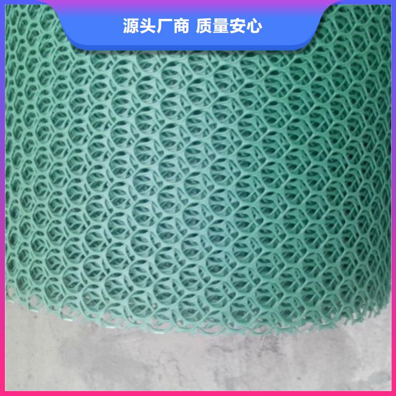 三維植被網(wǎng)土工網(wǎng)墊一手貨源