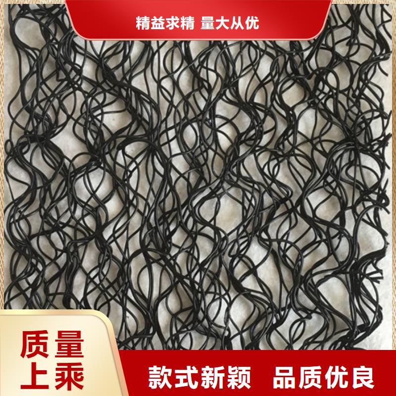 三維植被網(wǎng)三維土工網(wǎng)專注細(xì)節(jié)專注品質(zhì)