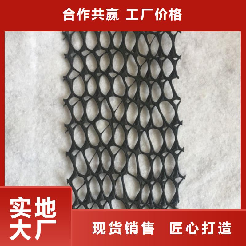 三維植被網(wǎng)土工網(wǎng)墊一手貨源