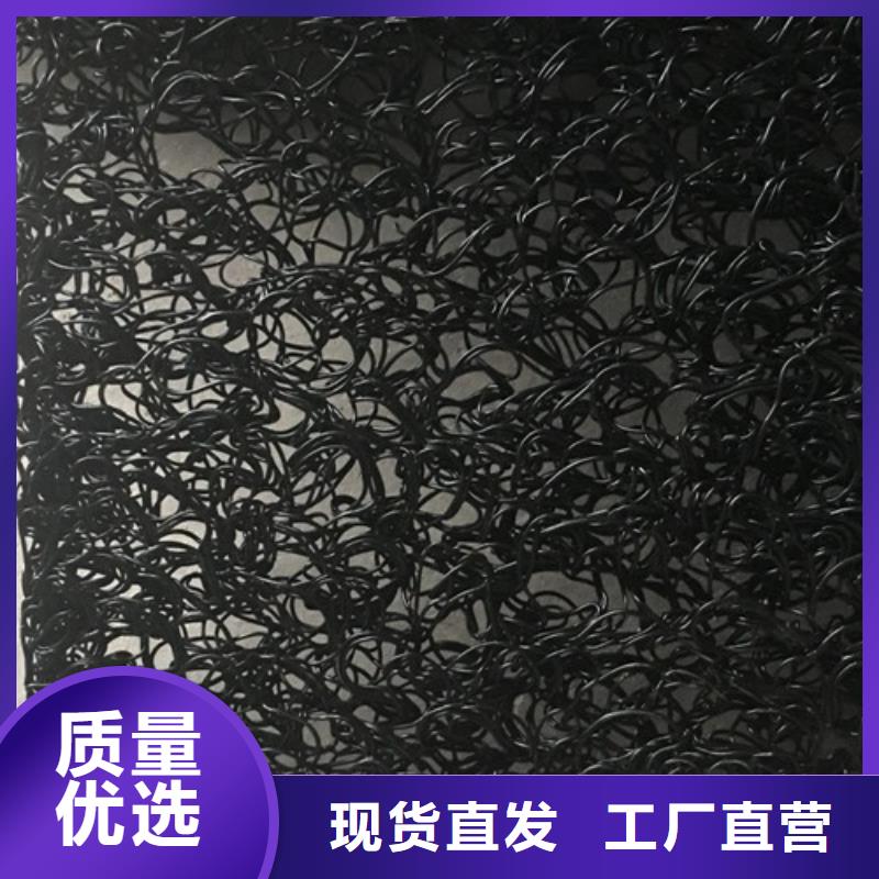 三維植被網(wǎng)三維土工網(wǎng)品質(zhì)保障價(jià)格合理