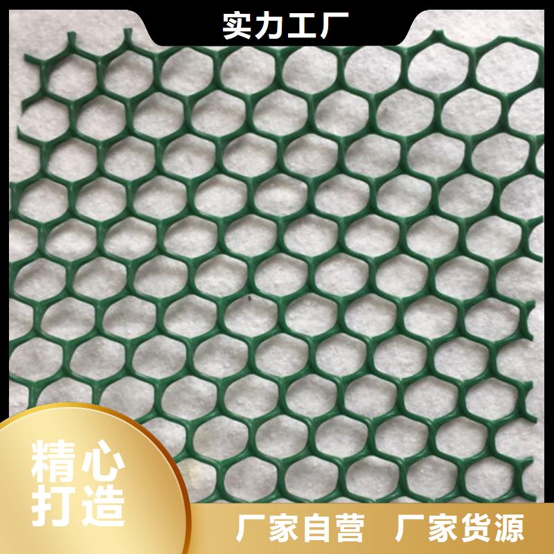 三維植被網(wǎng)三維土工網(wǎng)墊免費回電