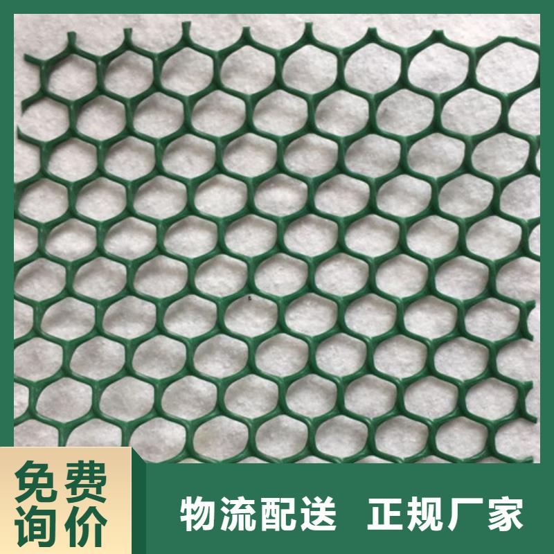 三維植被網(wǎng)三維加筋麥克墊卓越品質(zhì)保障