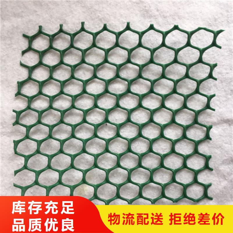 三維植被網(wǎng)三維土工網(wǎng)墊免費回電