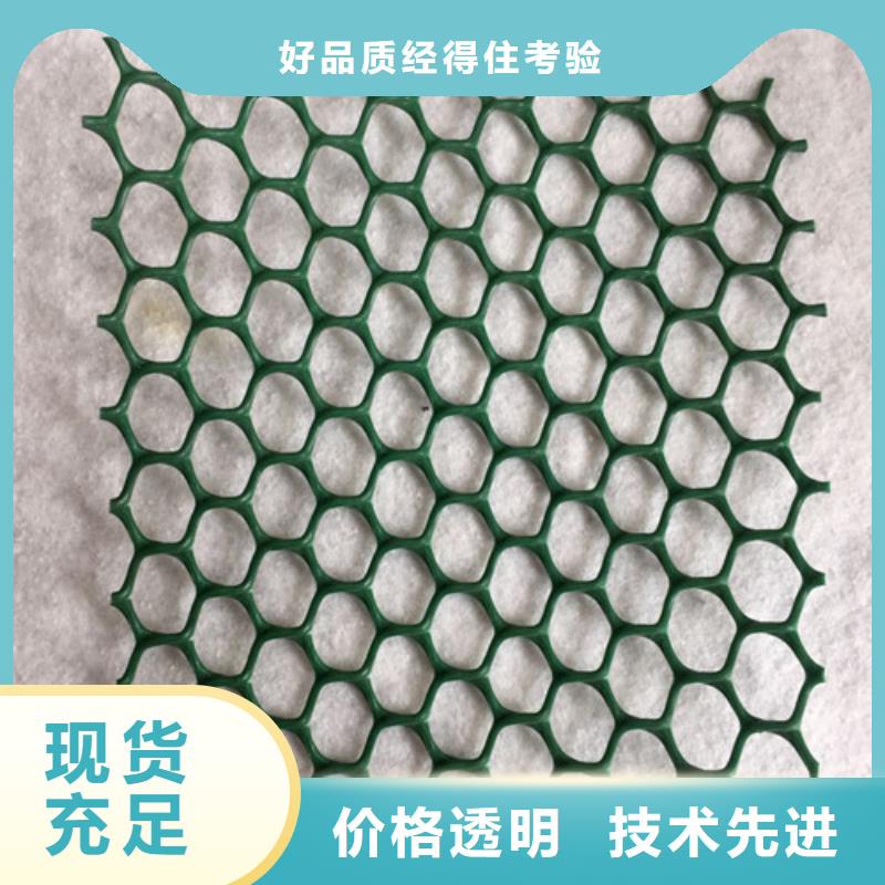 三維植被網(wǎng)土工網(wǎng)批發(fā)價(jià)格