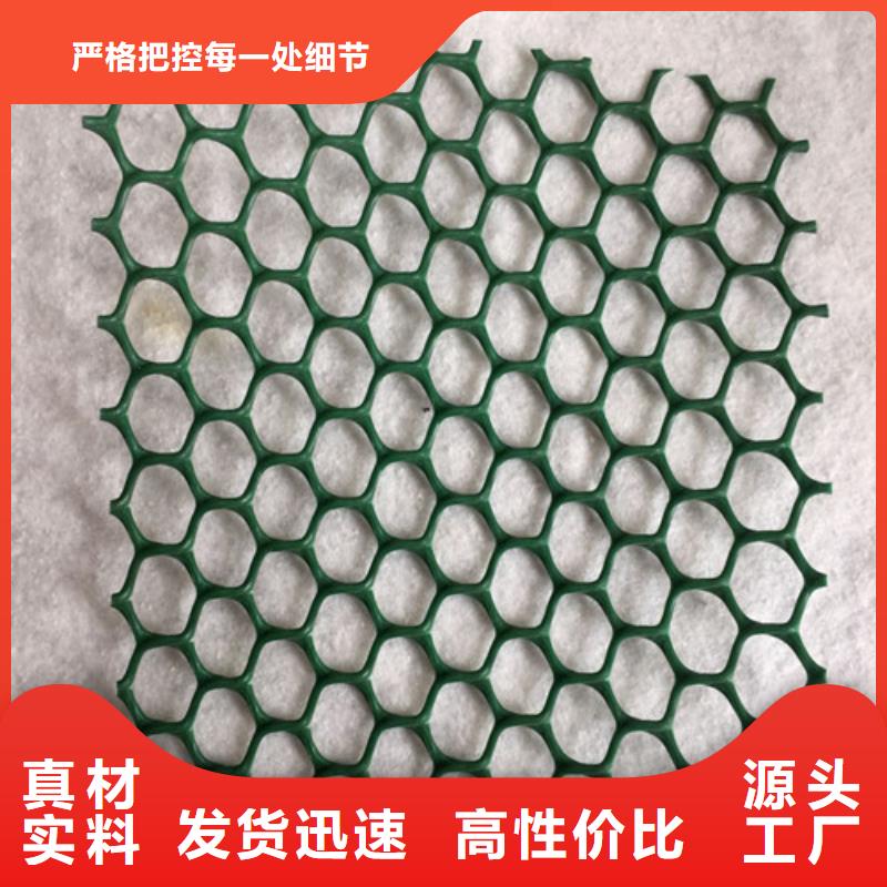 三維植被網(wǎng)三維土工網(wǎng)品質(zhì)保障價(jià)格合理