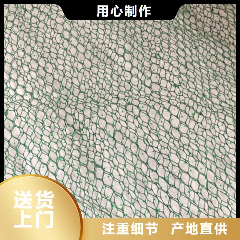 三維植被網(wǎng),土工網(wǎng)行業(yè)優(yōu)選