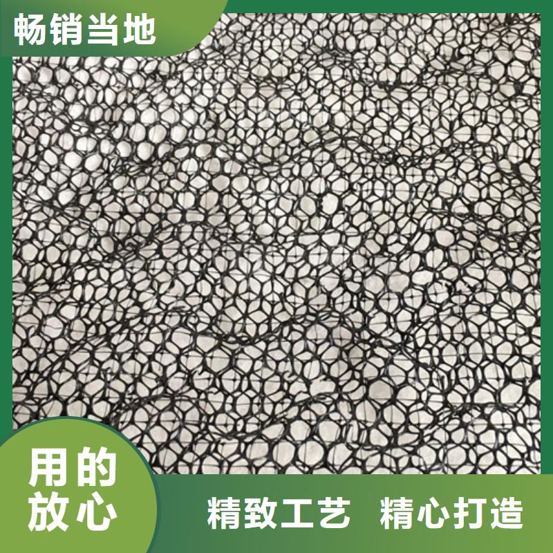 三維植被網(wǎng)三維土工網(wǎng)專注細(xì)節(jié)專注品質(zhì)