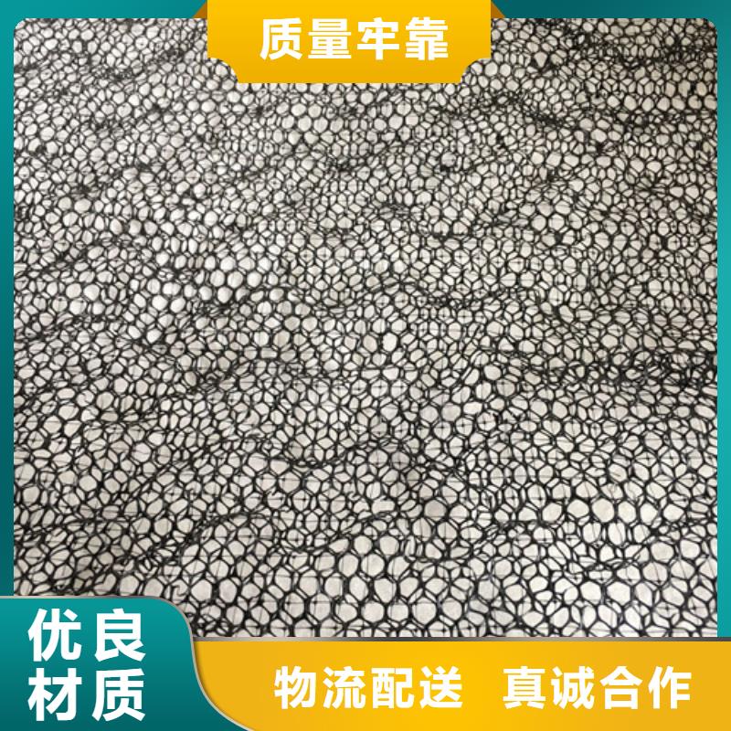 三維植被網(wǎng)三維土工網(wǎng)專注細(xì)節(jié)專注品質(zhì)