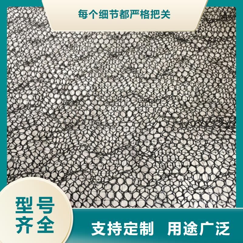 三維植被網(wǎng)-三維植被網(wǎng)墊用途廣泛