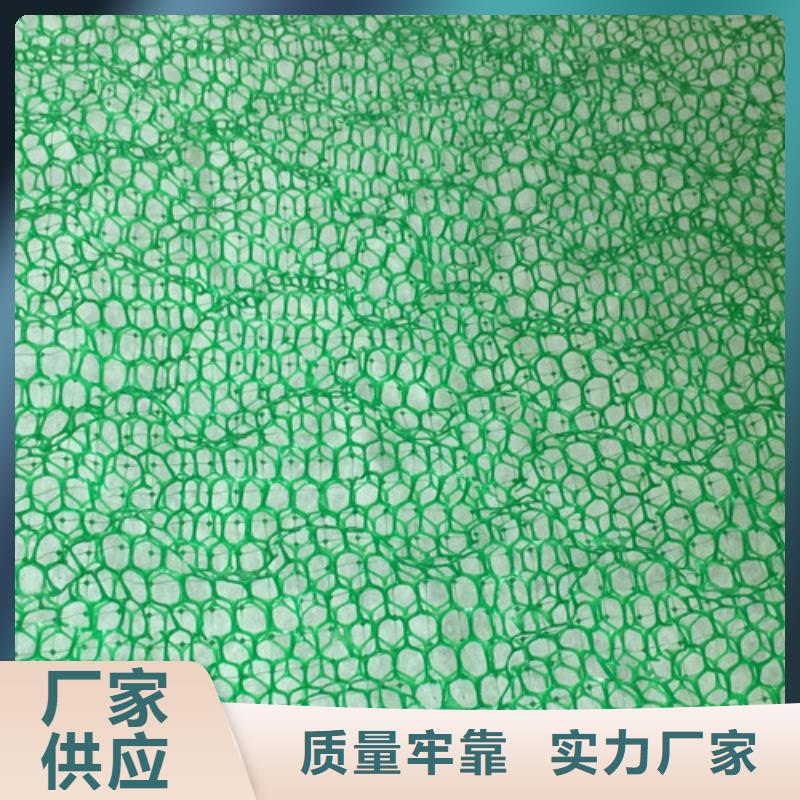 三維植被網(wǎng)三維土工網(wǎng)品質(zhì)保障價(jià)格合理
