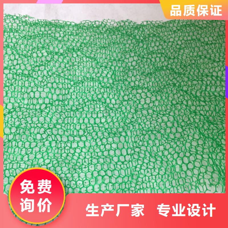 三維植被網(wǎng)三維土工網(wǎng)墊免費回電