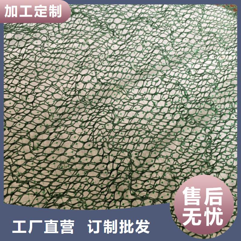 三維植被網(wǎng),土工網(wǎng)行業(yè)優(yōu)選