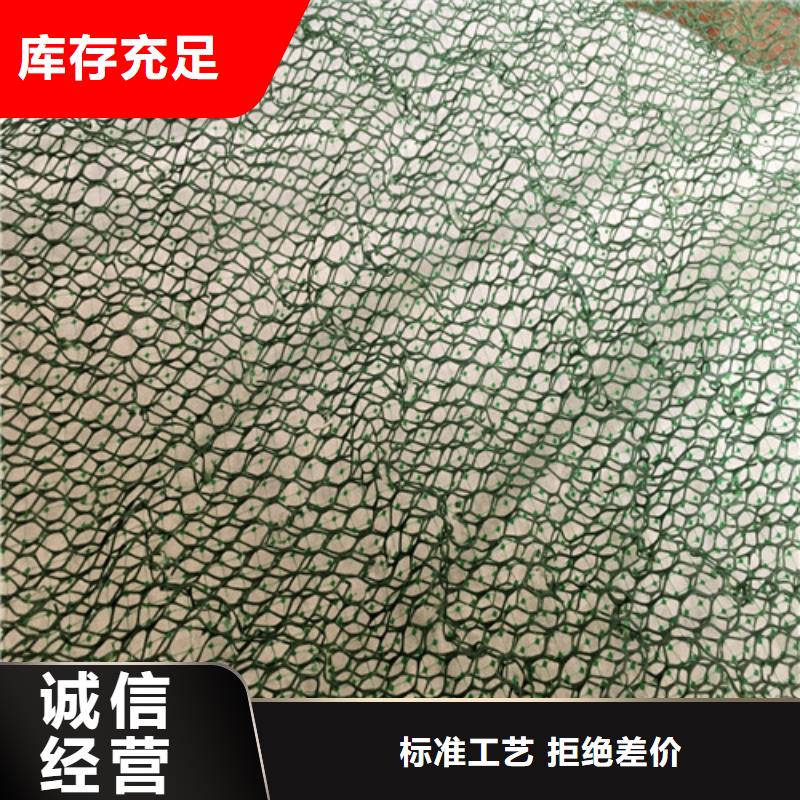 三維植被網(wǎng),土工網(wǎng)行業(yè)優(yōu)選