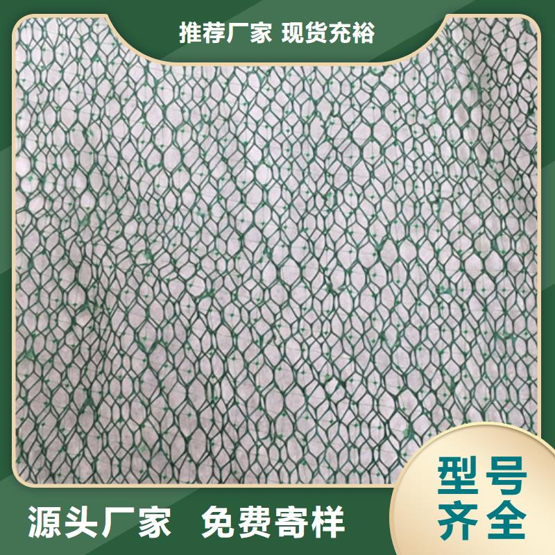 三維植被網(wǎng)三維土工網(wǎng)墊免費回電