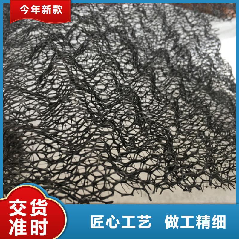三維植被網(wǎng)三維土工網(wǎng)墊免費回電