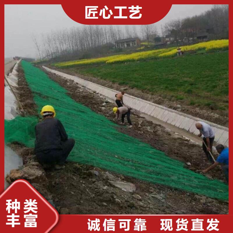 三維植被網(wǎng)土工網(wǎng)墊一手貨源