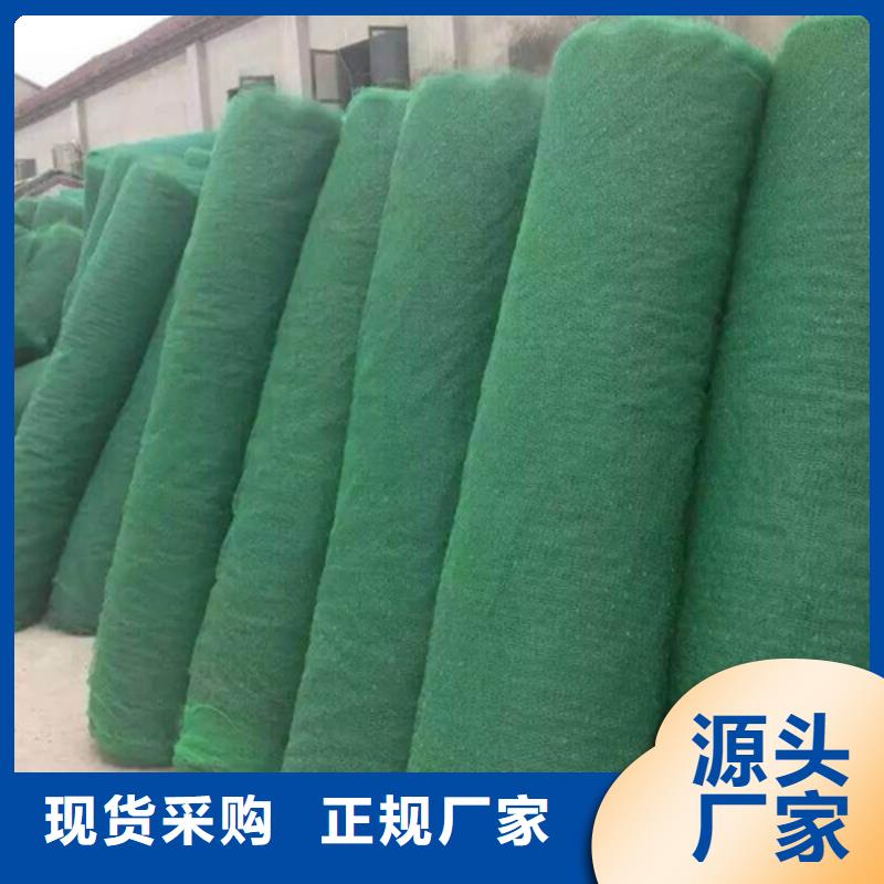 三維植被網(wǎng)土工網(wǎng)批發(fā)價(jià)格