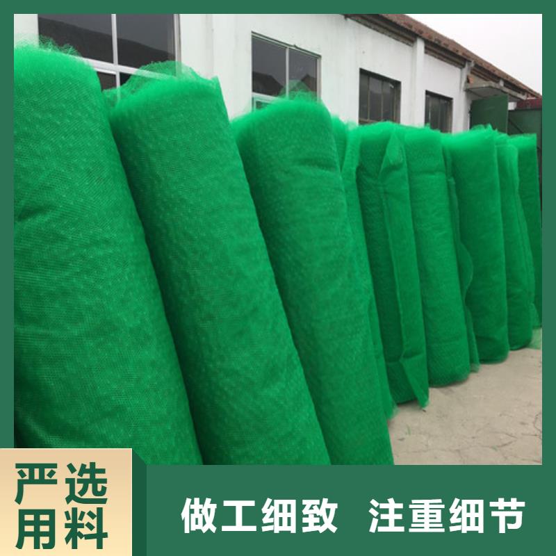 三維植被網(wǎng)土工網(wǎng)墊一手貨源