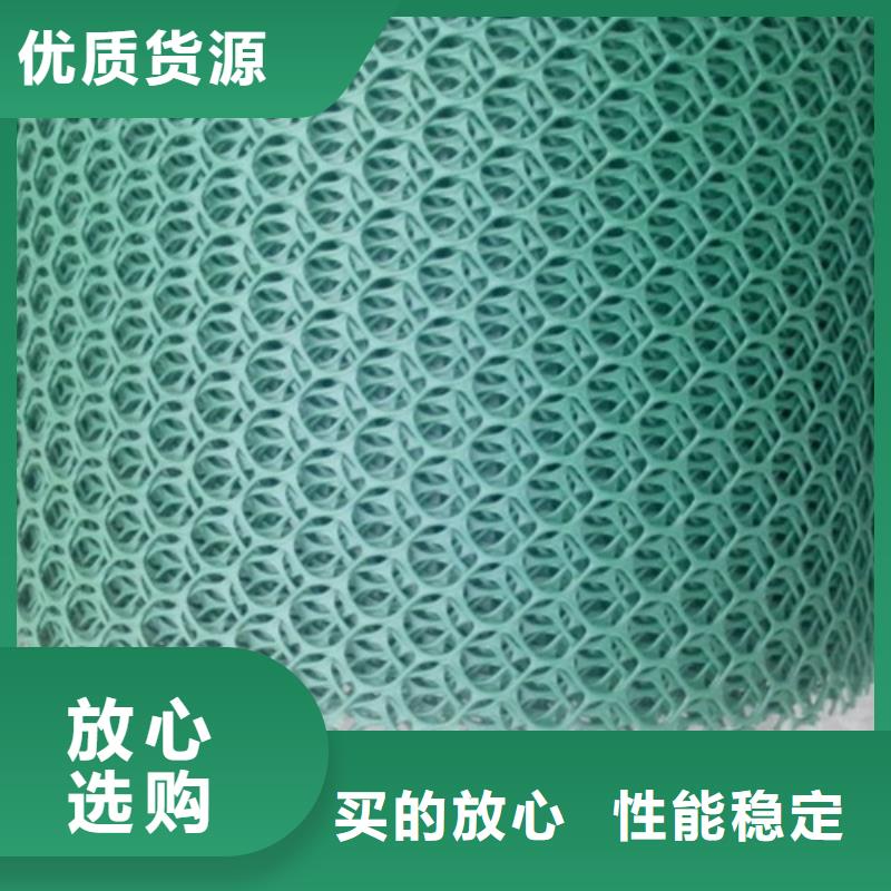 三維植被網(wǎng)土工網(wǎng)墊一手貨源