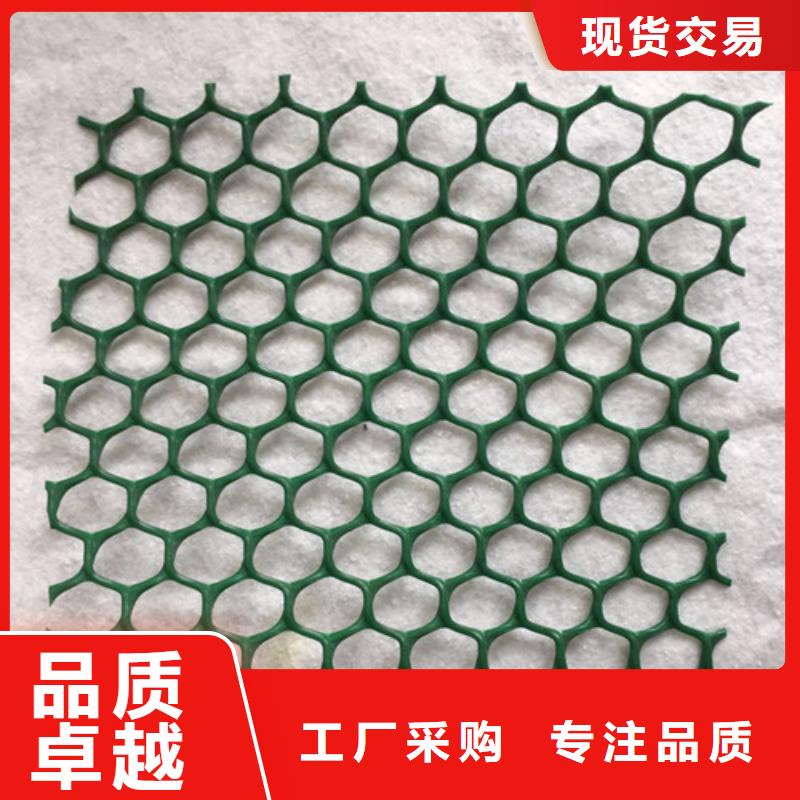 三維植被網(wǎng)土工網(wǎng)批發(fā)價(jià)格