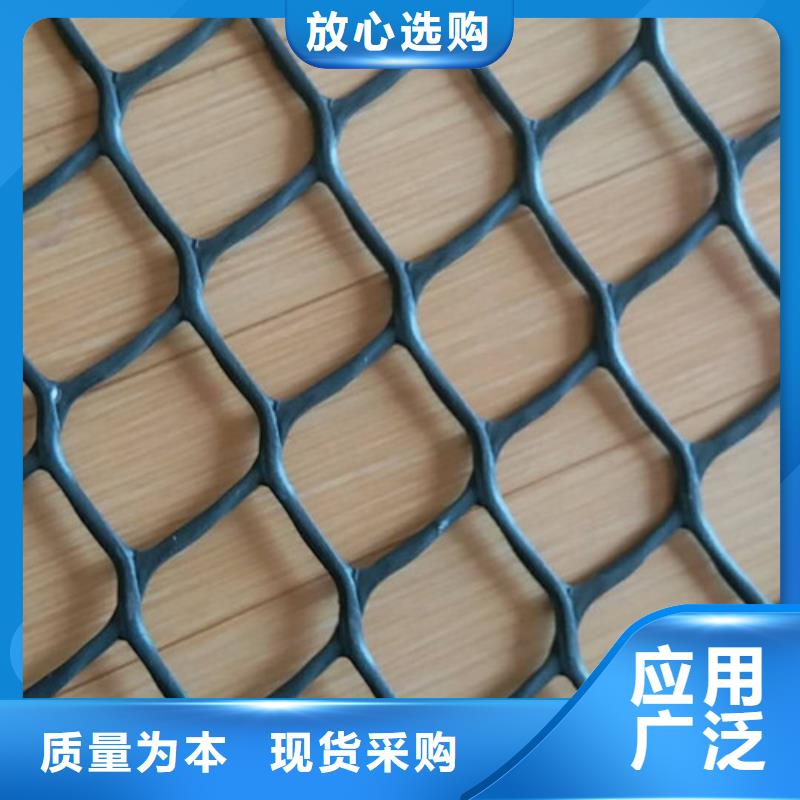 三維植被網(wǎng)土工網(wǎng)批發(fā)價(jià)格