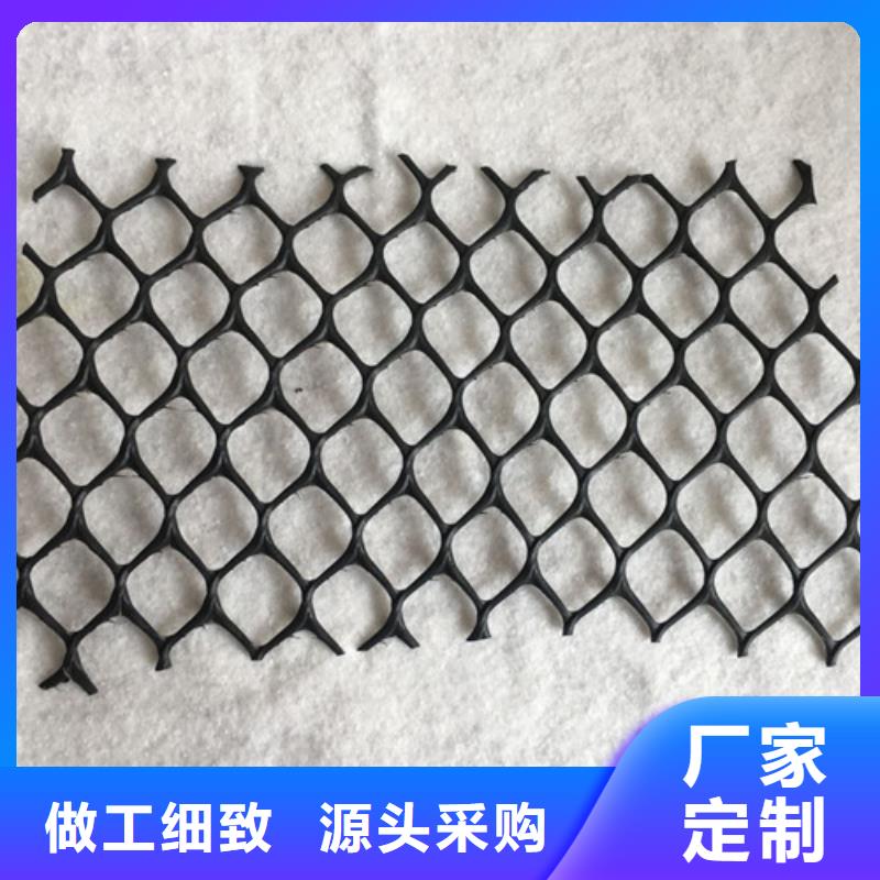 三維植被網(wǎng)三維土工網(wǎng)品質(zhì)保障價(jià)格合理