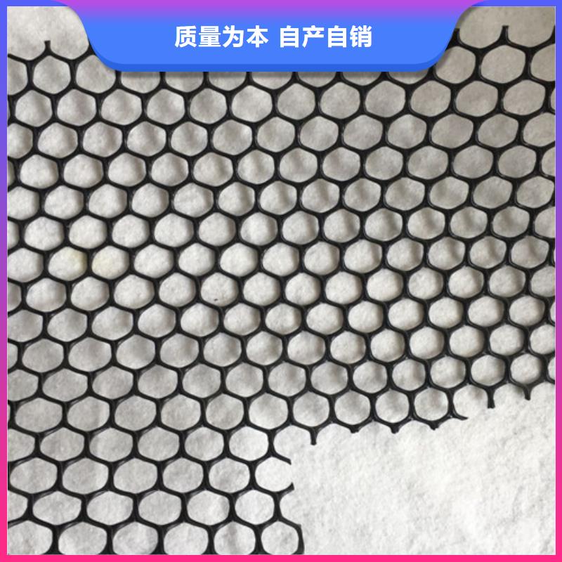 三維植被網(wǎng)三維土工網(wǎng)墊免費回電