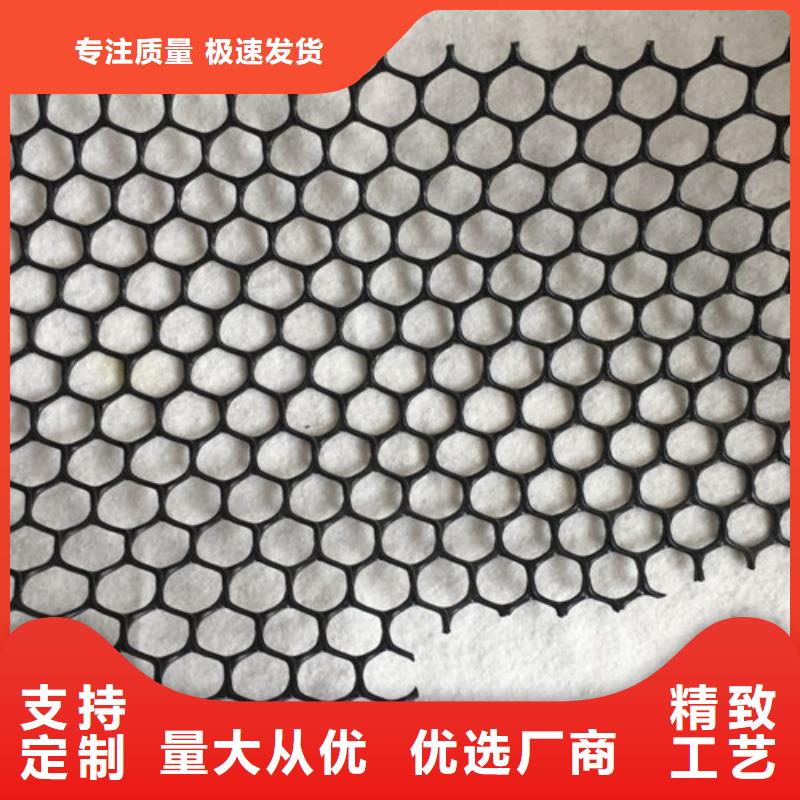 三維植被網(wǎng)三維土工網(wǎng)品質(zhì)保障價(jià)格合理