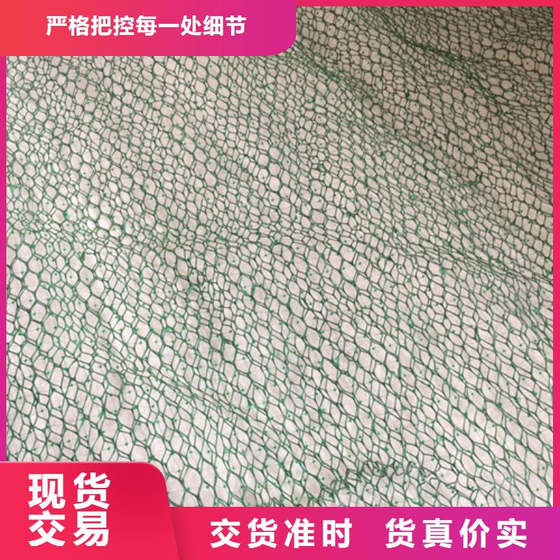 三維植被網(wǎng)三維土工網(wǎng)專注細(xì)節(jié)專注品質(zhì)