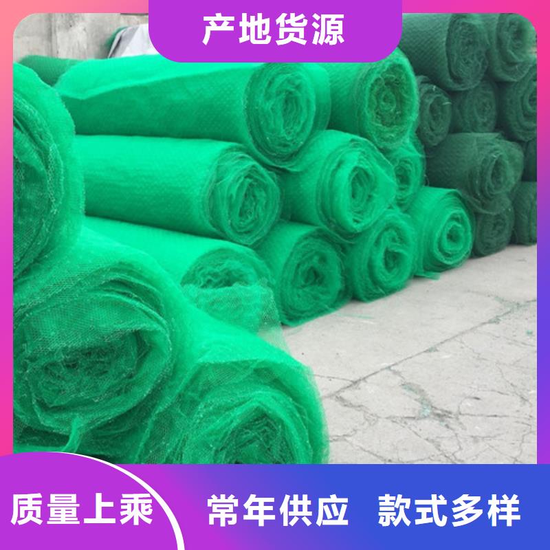 三維植被網(wǎng)土工網(wǎng)批發(fā)價(jià)格