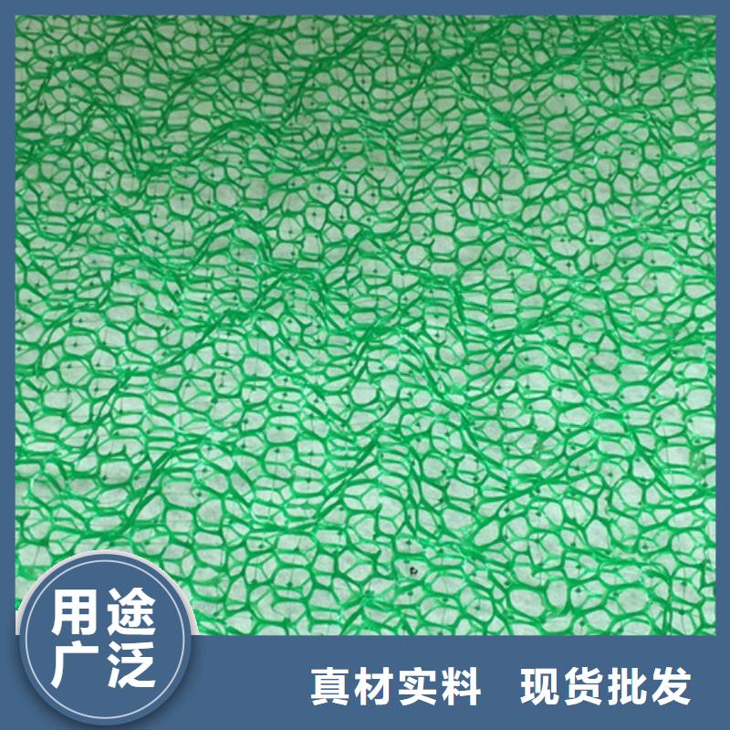 三維植被網(wǎng)土工網(wǎng)墊一手貨源