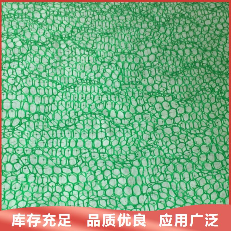 三維植被網(wǎng)-三維植被網(wǎng)墊用途廣泛