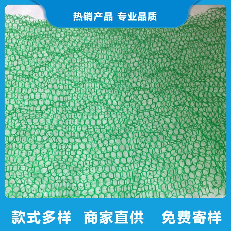 三維植被網(wǎng)三維加筋麥克墊卓越品質(zhì)保障