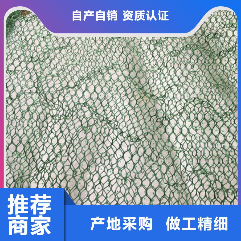 三維植被網(wǎng)三維土工網(wǎng)專注細(xì)節(jié)專注品質(zhì)