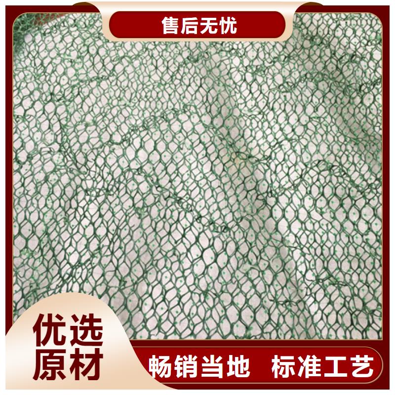 三維植被網(wǎng)-三維植被網(wǎng)墊用途廣泛
