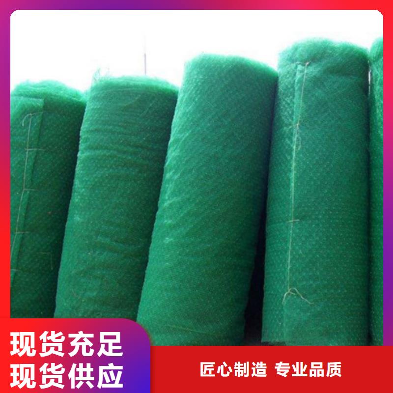 三維植被網(wǎng)三維加筋麥克墊卓越品質(zhì)保障