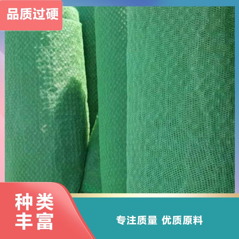 三維植被網(wǎng)三維土工網(wǎng)專注細(xì)節(jié)專注品質(zhì)