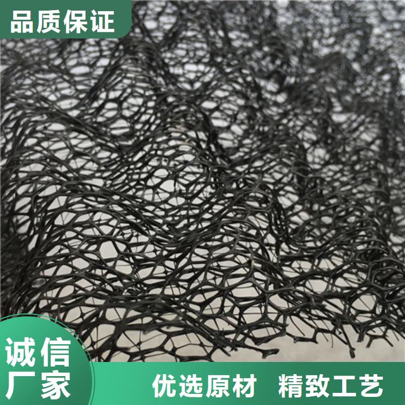 三維植被網(wǎng)土工網(wǎng)批發(fā)價(jià)格