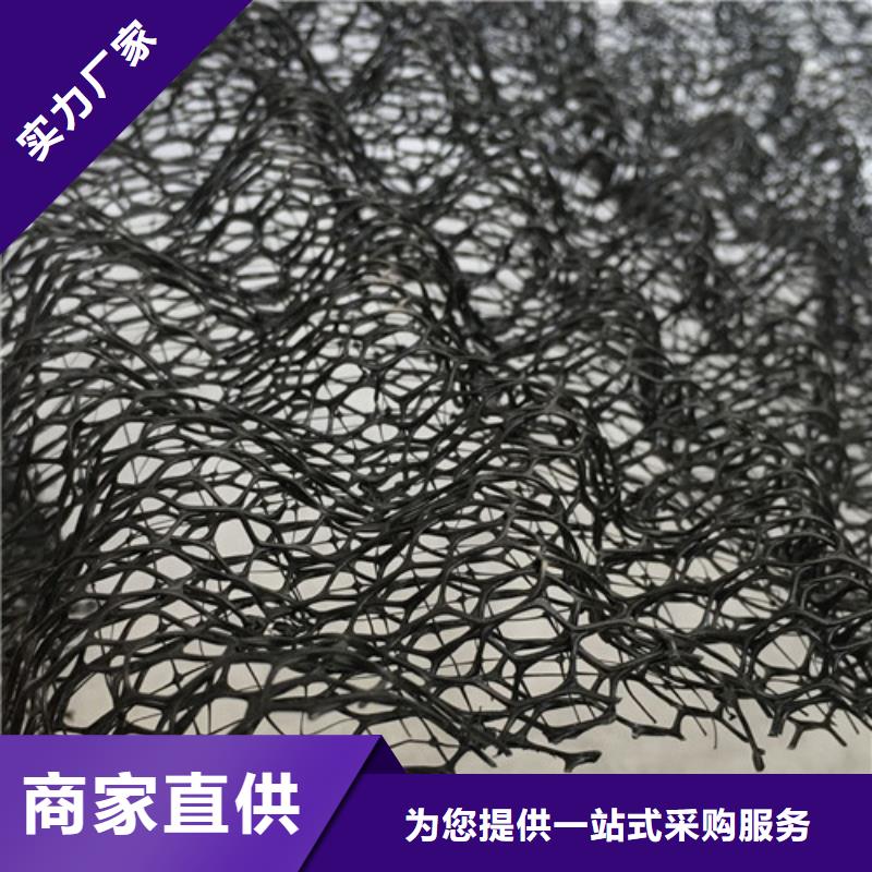 三維植被網(wǎng),土工網(wǎng)行業(yè)優(yōu)選
