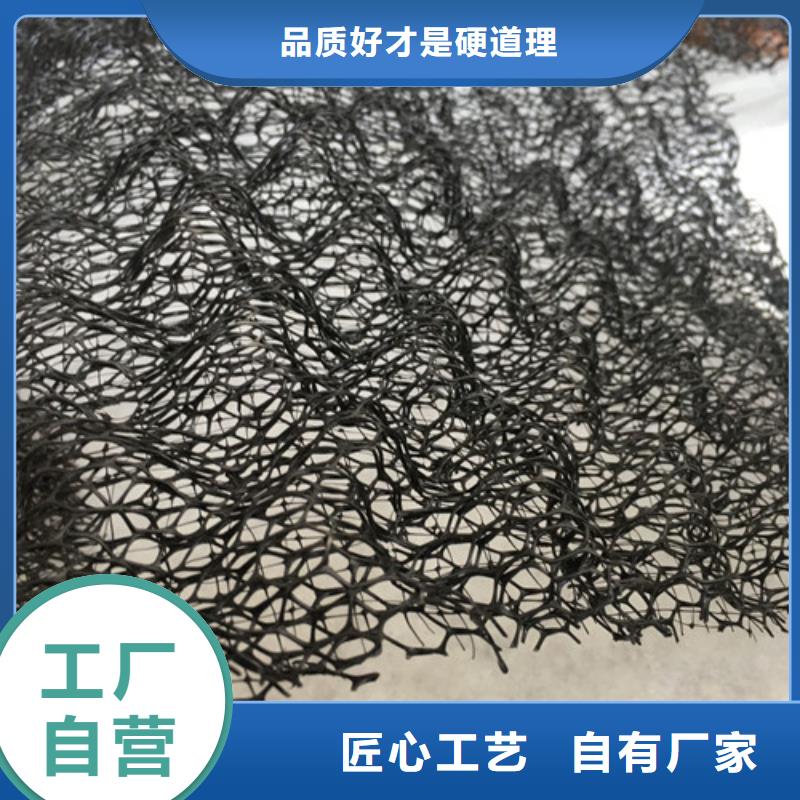 三維植被網(wǎng)土工網(wǎng)批發(fā)價(jià)格