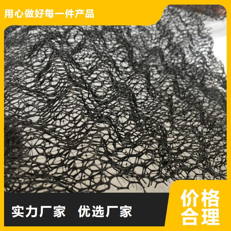 三維植被網(wǎng)三維加筋麥克墊卓越品質(zhì)保障