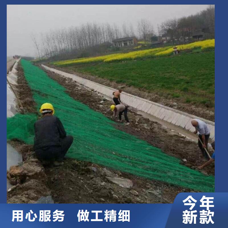 三維植被網(wǎng)-三維植被網(wǎng)墊用途廣泛