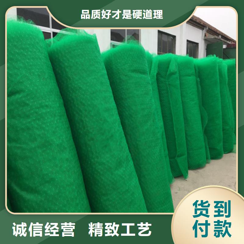 三維植被網(wǎng)三維土工網(wǎng)墊免費回電