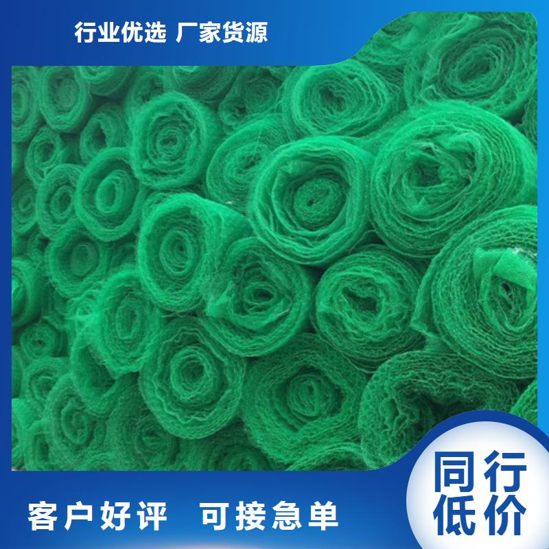 三維植被網(wǎng)三維土工網(wǎng)墊免費回電