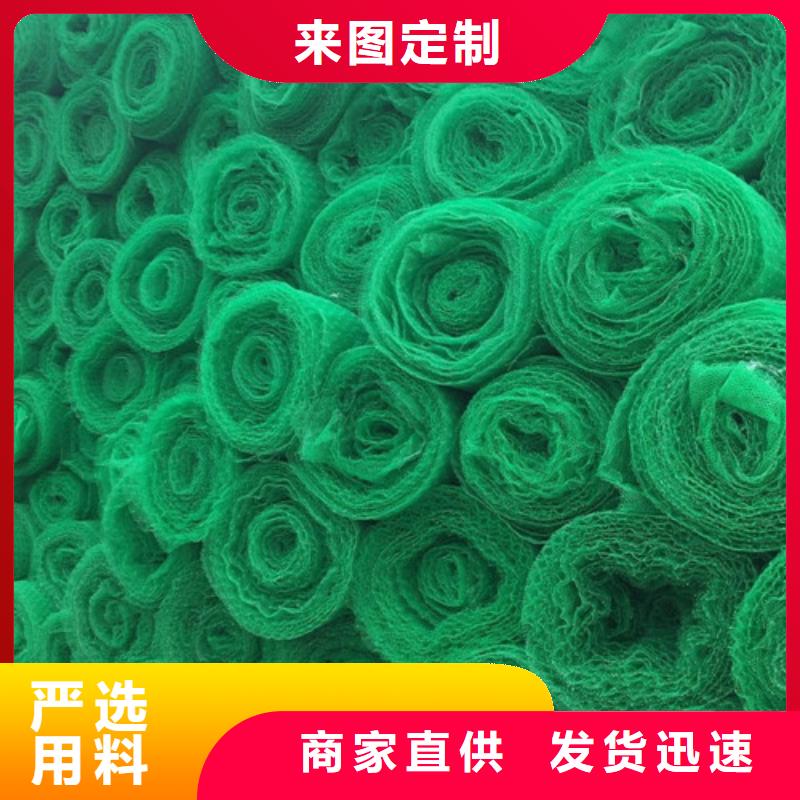 三維植被網(wǎng)土工網(wǎng)墊一手貨源
