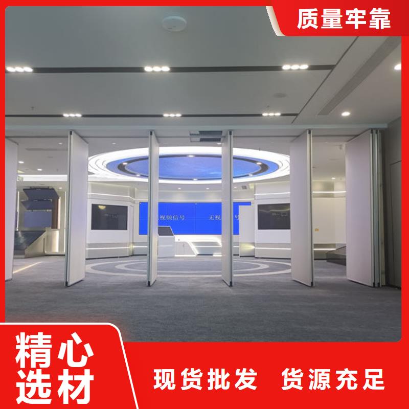 電動(dòng)隔斷電動(dòng)幽靈門(mén)專(zhuān)業(yè)廠(chǎng)家