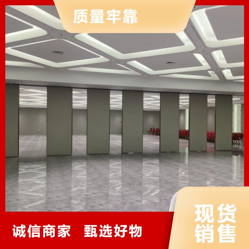 電動(dòng)隔斷電動(dòng)幽靈門(mén)專(zhuān)業(yè)廠(chǎng)家