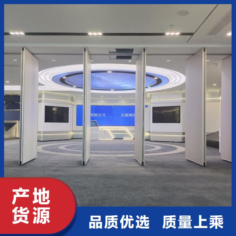 電動(dòng)隔斷電動(dòng)幽靈門(mén)專(zhuān)業(yè)廠(chǎng)家