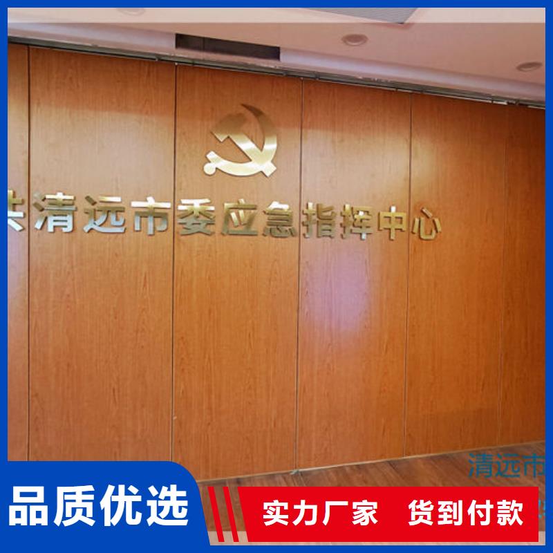 電動(dòng)隔斷電動(dòng)幽靈門(mén)專(zhuān)業(yè)廠(chǎng)家